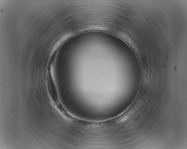 X0000067380898200603311207