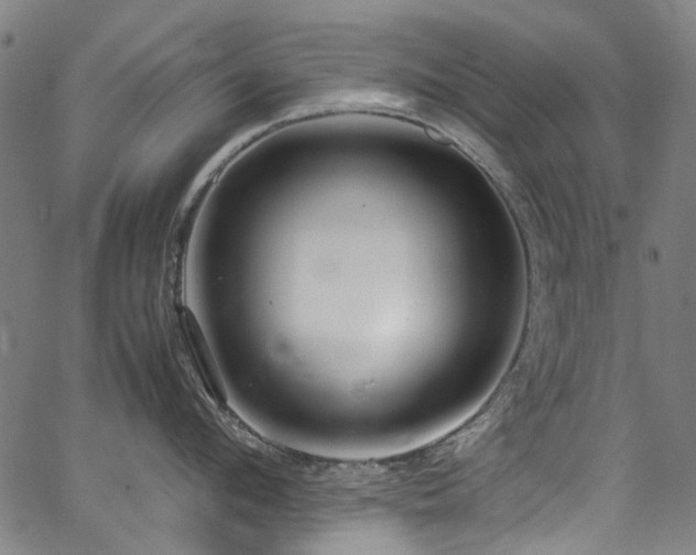 X0000067380912200603311207