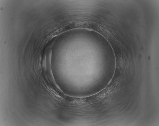X0000067380914200603311206
