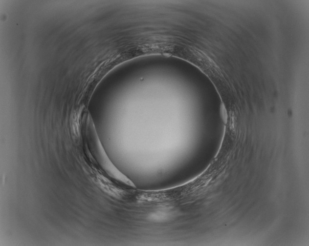 X0000067380915200603311206