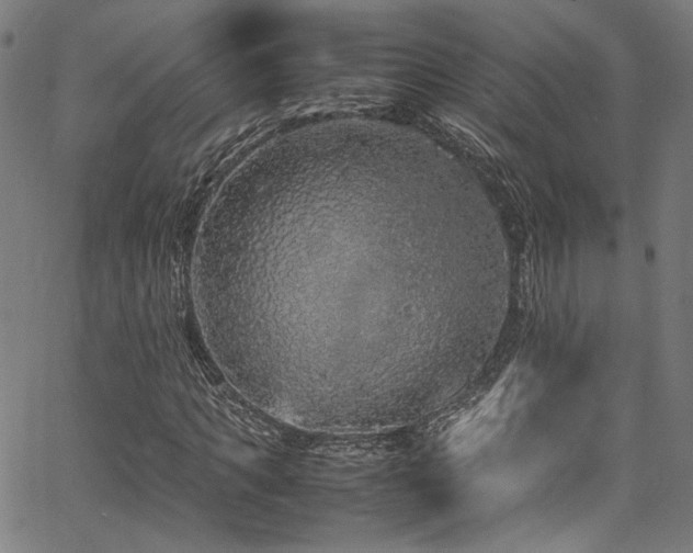 X0000067380917200603311207