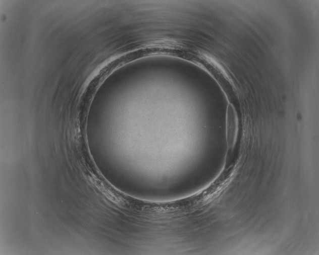 X0000067380923200603311207