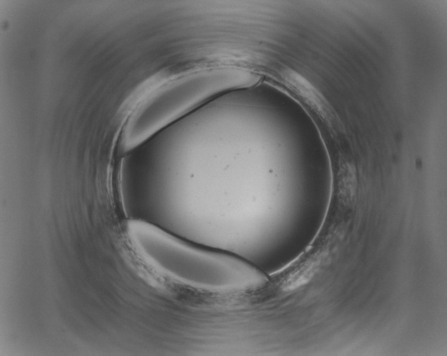 X0000067380932200603311207