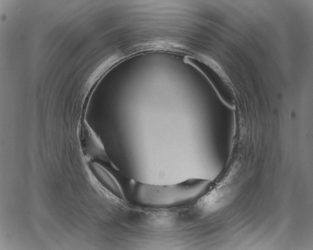 X0000067380946200603311207