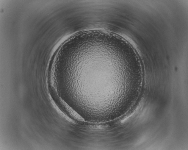 X0000067380949200603311207