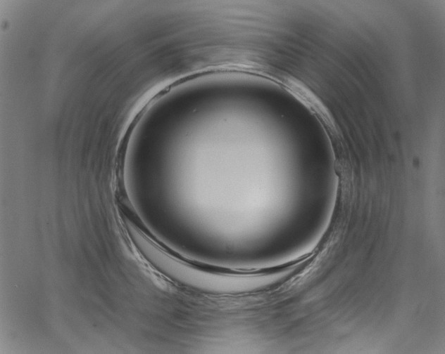 X0000067380956200603311207