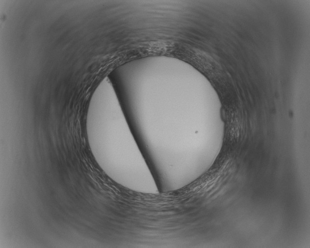 X0000067380962200603311206