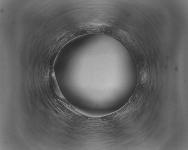 X0000067380964200603311206