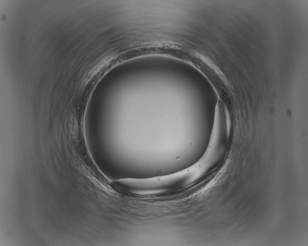 X0000067380969200603311206