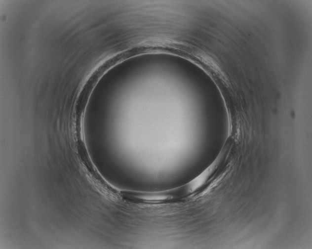 X0000067380976200603311206