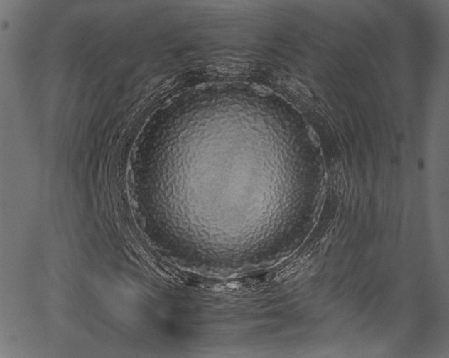 X0000067381009200603311205