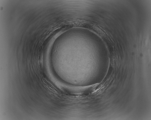 X0000067381010200603311205