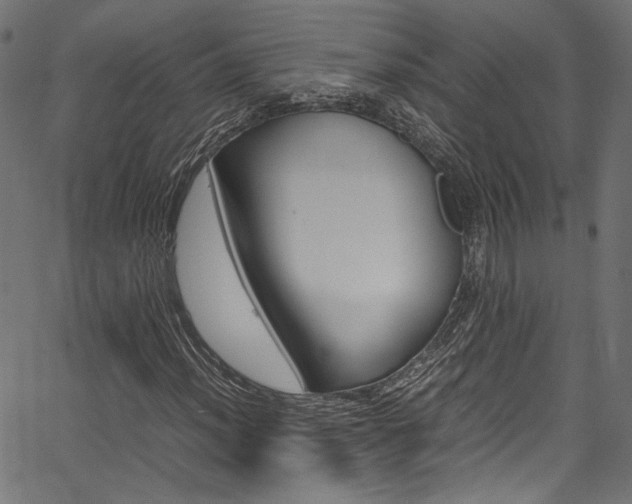 X0000067381012200603311205