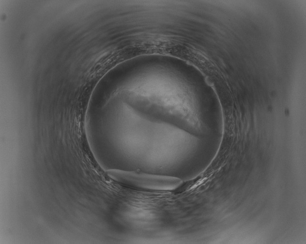 X0000067381013200603311205