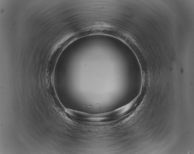 X0000067381018200603311205