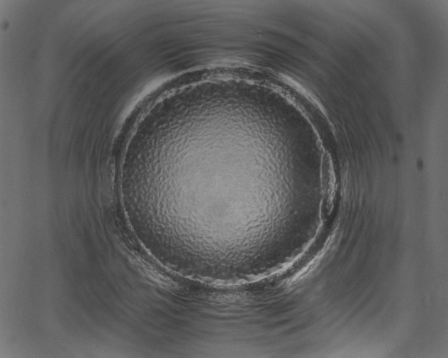 X0000067381021200603311205