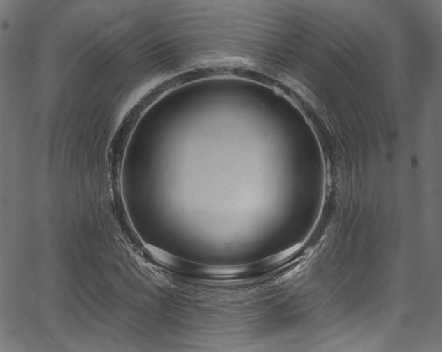 X0000067381022200603311205