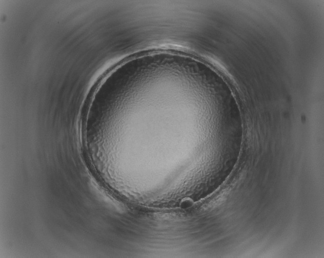 X0000067381032200603311205