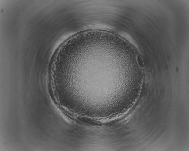 X0000067381040200603311205