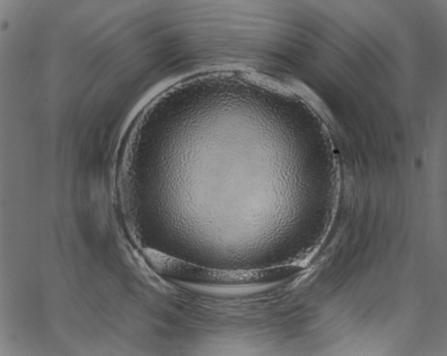 X0000067381052200603311206