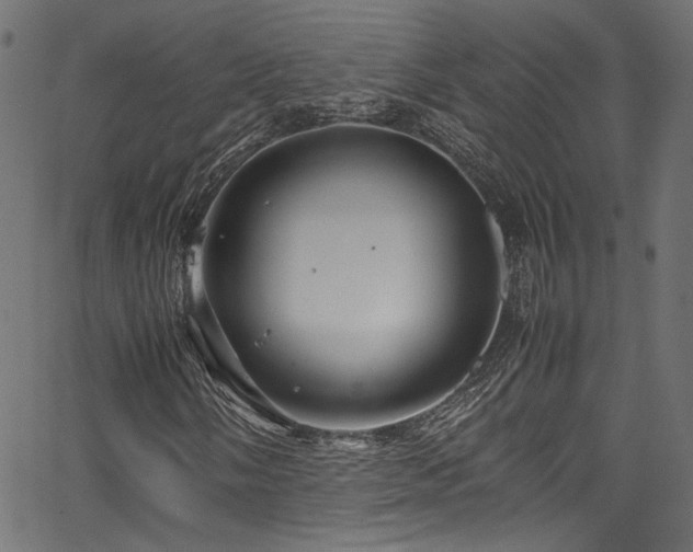 X0000067381058200603311205