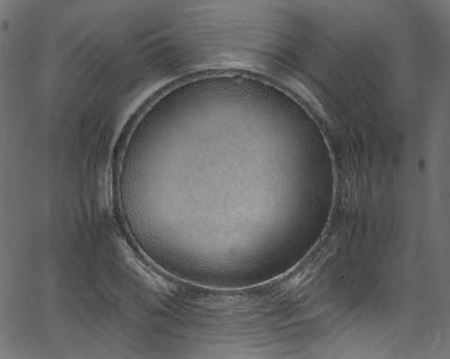 X0000067381076200603311205