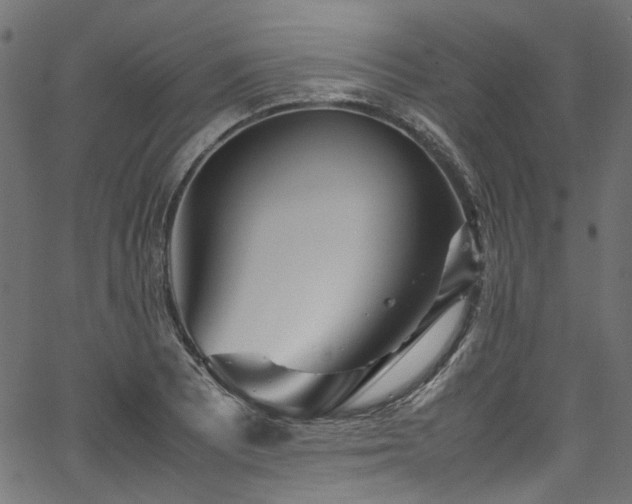 X0000067381081200603311204