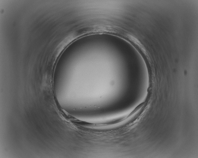 X0000067381089200603311204