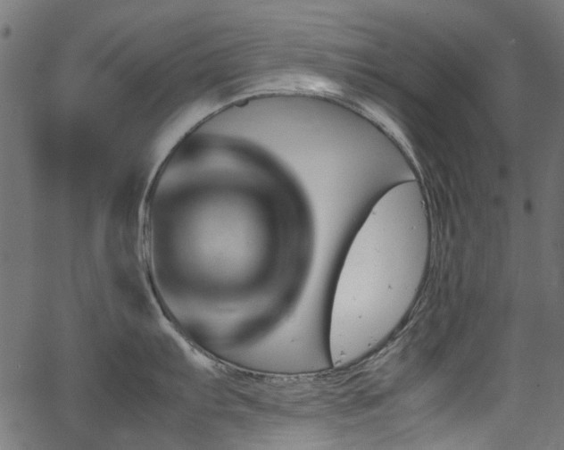 X0000067381103200603311204