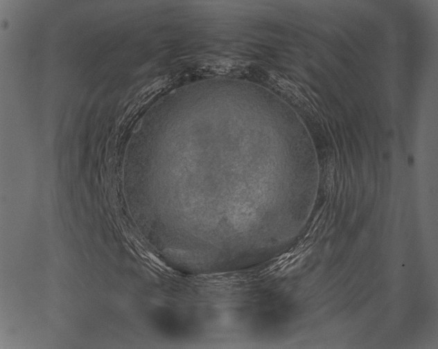 X0000067381105200603311203