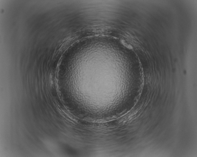 X0000067381106200603311203