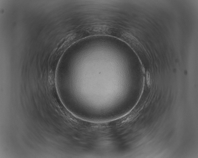 X0000067381107200603311203