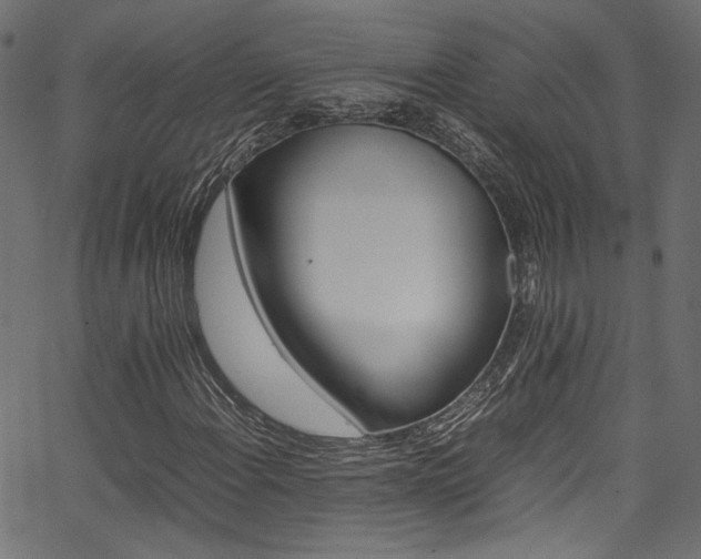 X0000067381108200603311203
