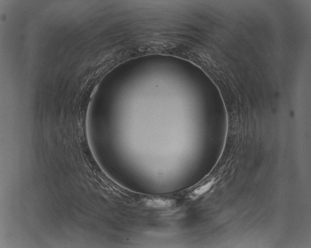 X0000067381109200603311203