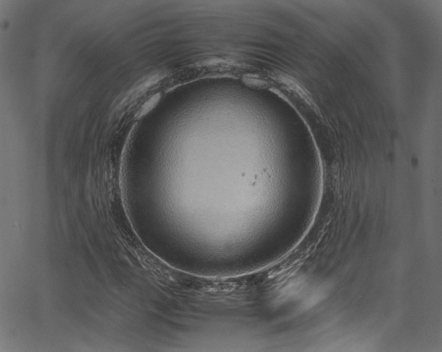 X0000067381111200603311203