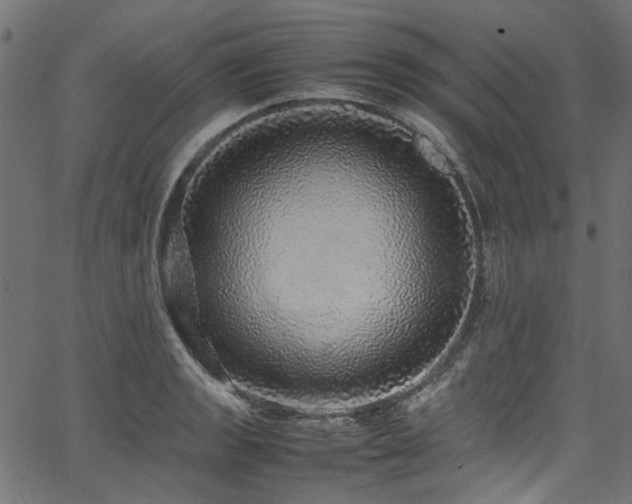 X0000067381133200603311204