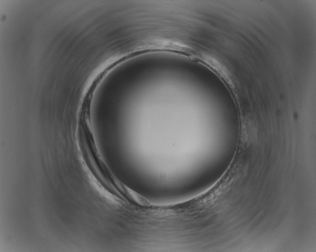 X0000067381136200603311204