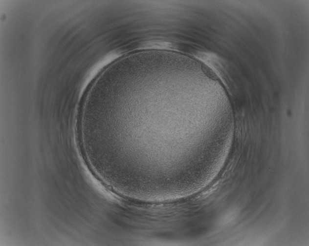 X0000067381139200603311204