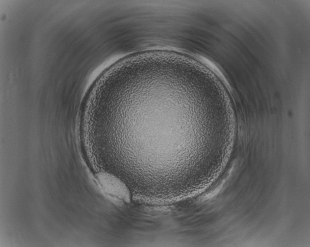 X0000067381149200603311204