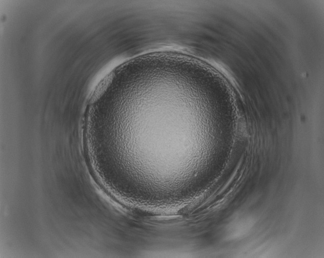 X0000067381151200603311204