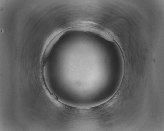 X0000067381152200603311204