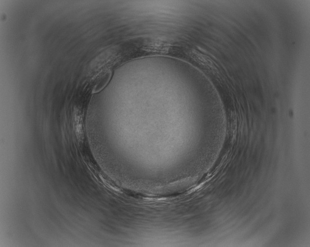 X0000067381154200603311203
