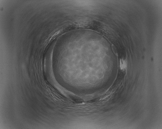 X0000067381155200603311203