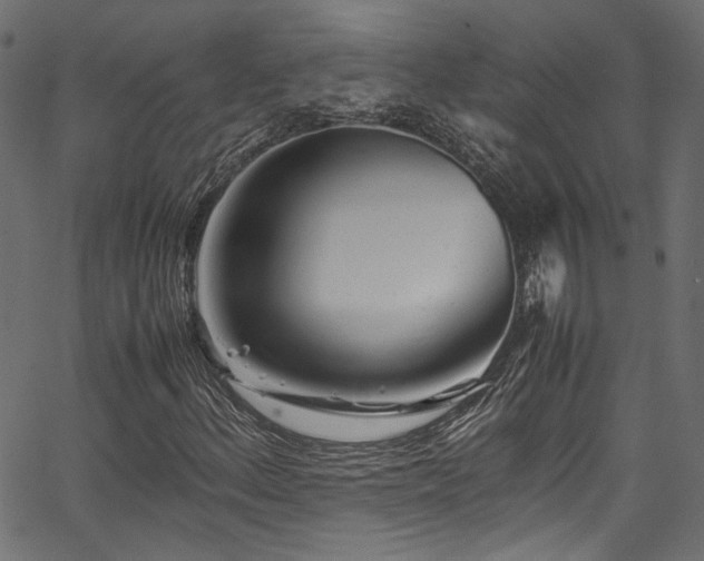 X0000067381156200603311203