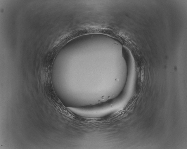 X0000067381157200603311203