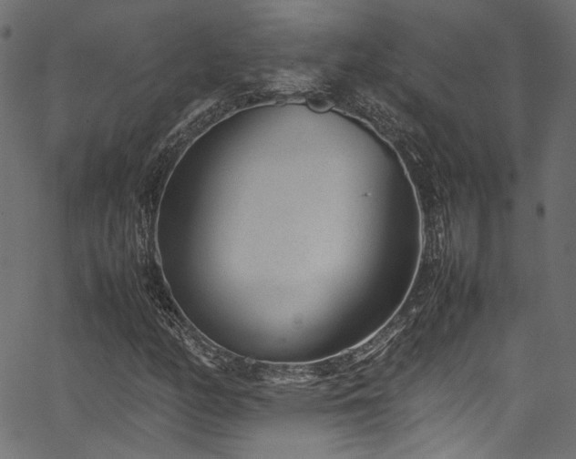 X0000067381158200603311203