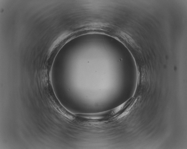 X0000067381164200603311203