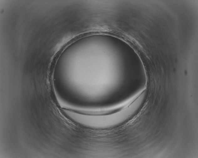 X0000067381168200603311203