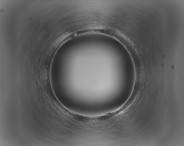 X0000067381169200603311203