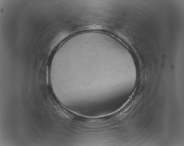 X0000067381171200603311203